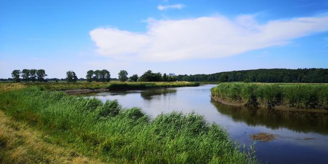 Stör mit Blick richtung Itzehoe    <br/>Foto: Christian Kidon