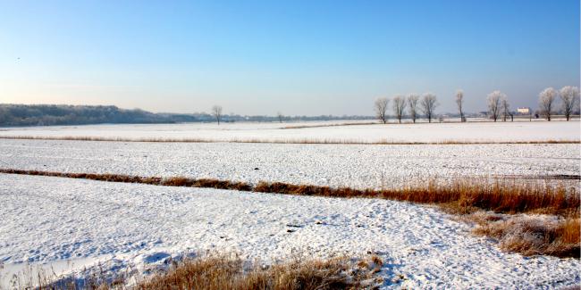 Störwiesen mit Blick Richtung Itzehoe   <br/> Foto: Christian Kidon