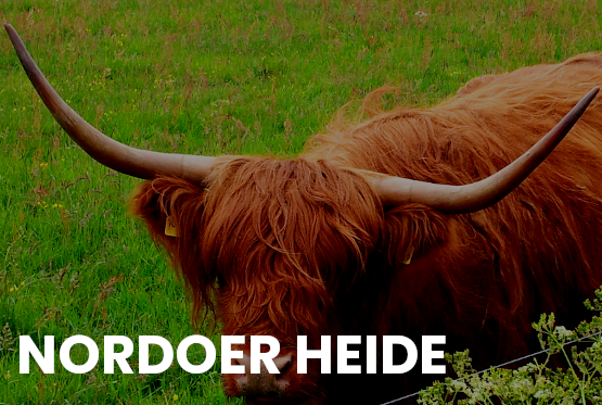 Nordoer Heide