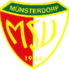 Logo MSV